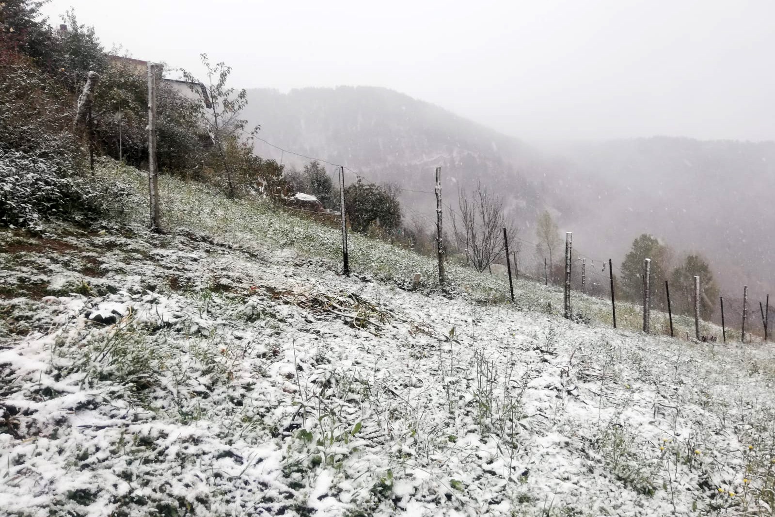 Gümüşhane’nin yükseklerinde kar yağışı başladı 4