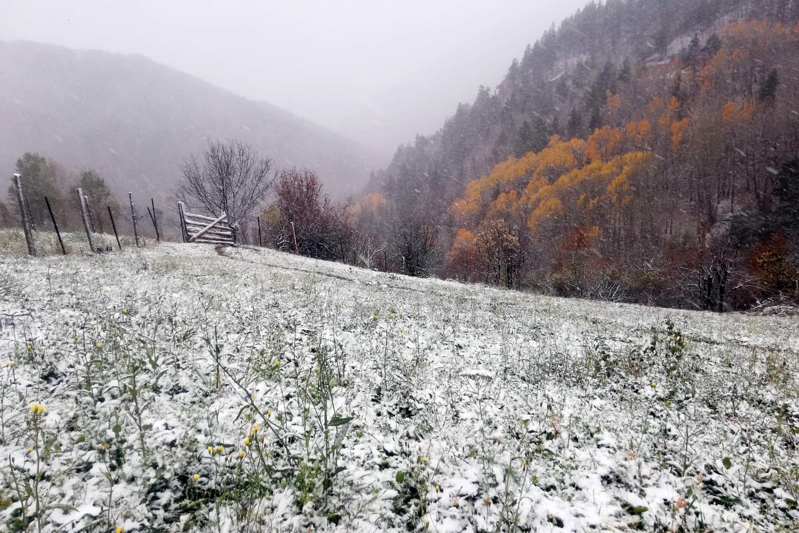Gümüşhane’nin yükseklerinde kar yağışı başladı 5