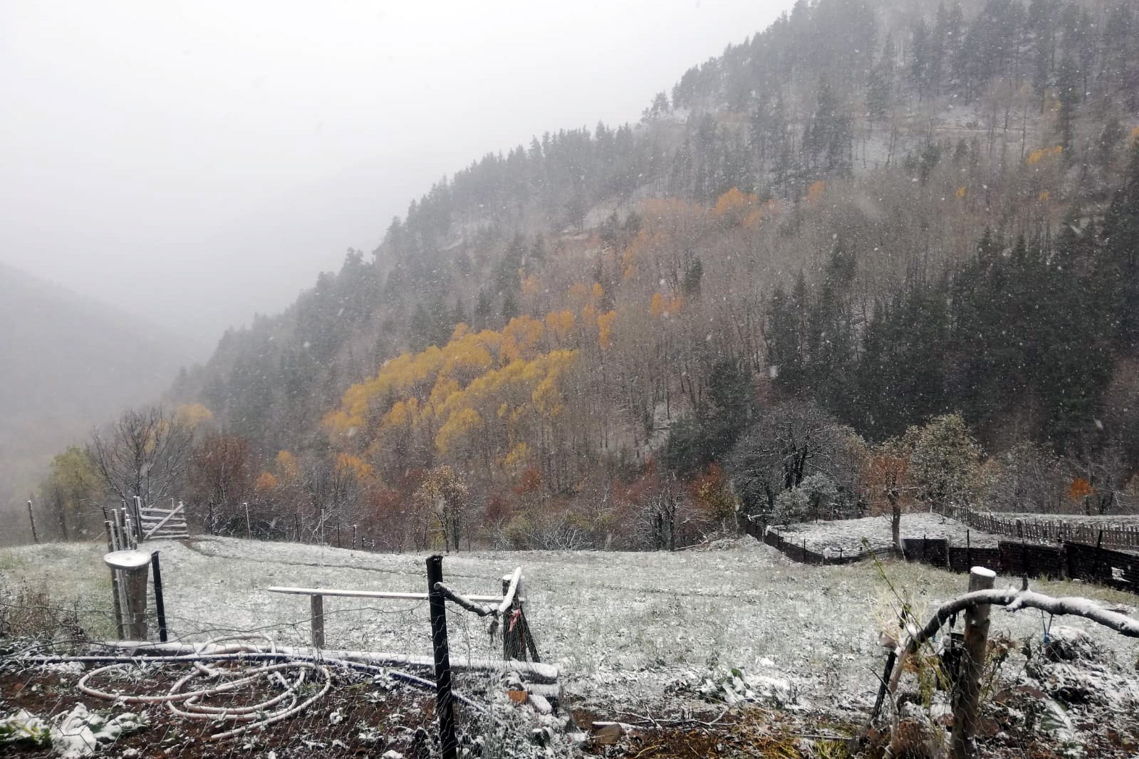 Gümüşhane’nin yükseklerinde kar yağışı başladı 6
