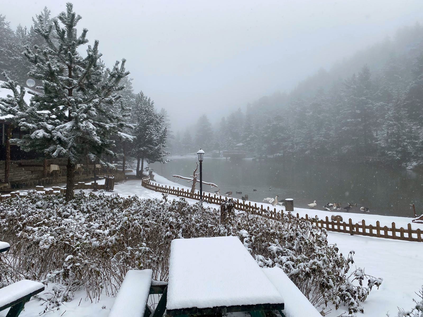 Limni gölü beyaza büründü 3