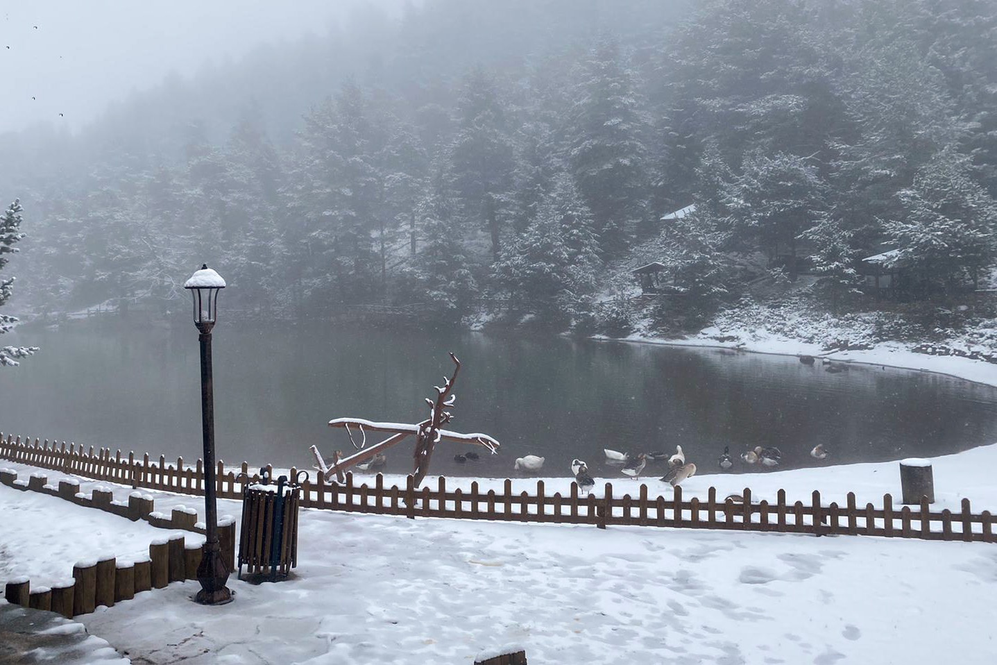 Limni gölü beyaza büründü 1