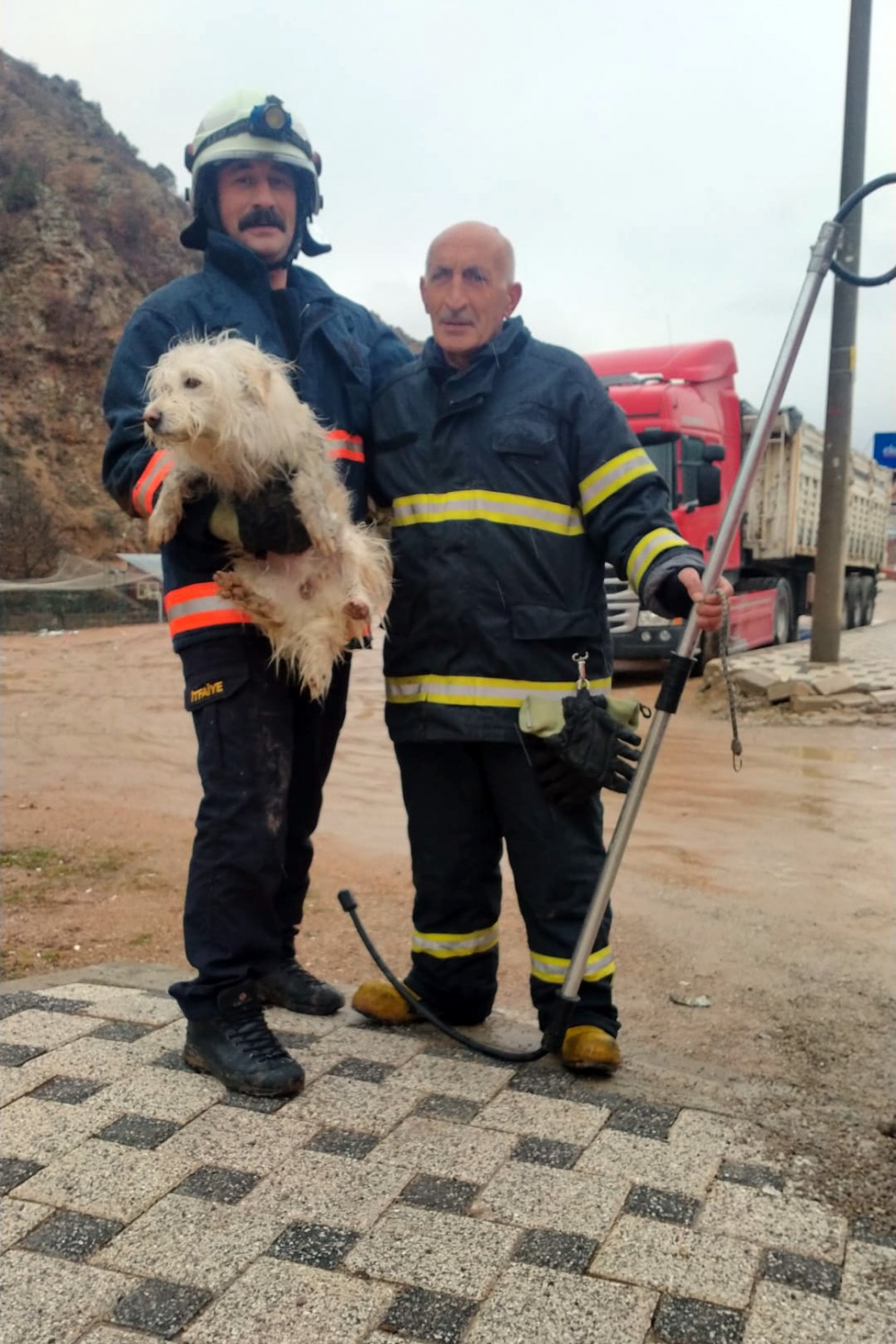 Harşit çayına düşen köpek kurtarıldı 1