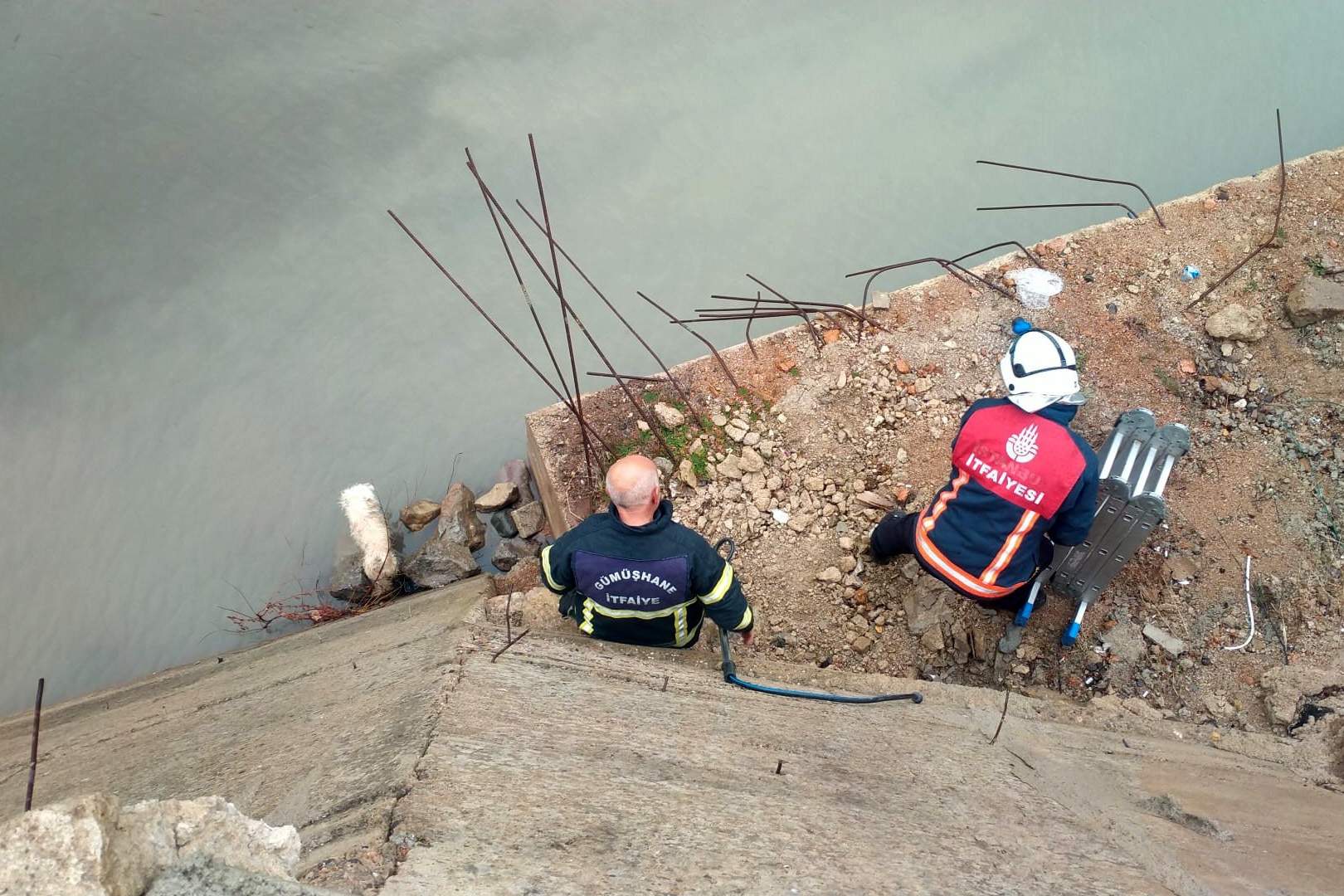 Harşit çayına düşen köpek kurtarıldı 3