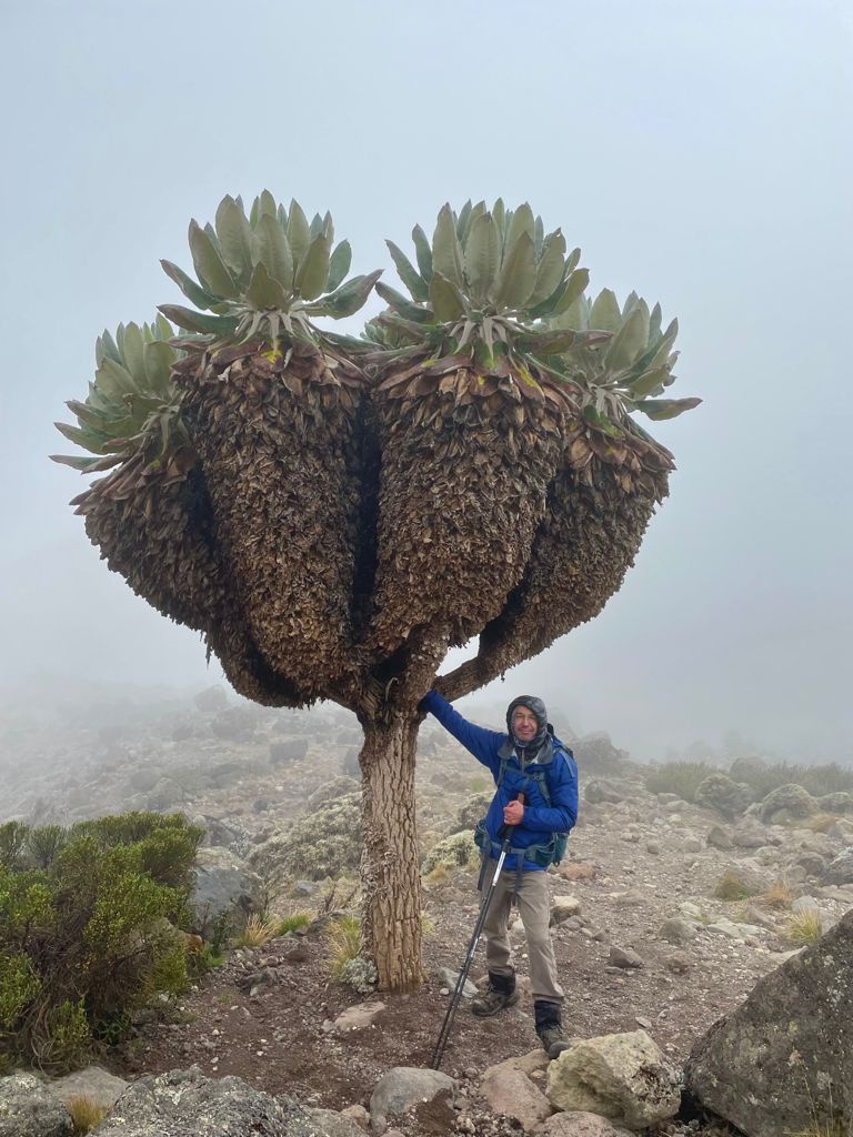 Kilimanjaro’da bir Gümüşhaneli: Hakan Yalçın 20