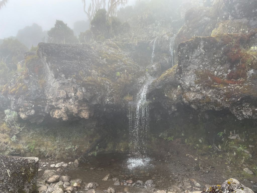 Kilimanjaro’da bir Gümüşhaneli: Hakan Yalçın 21