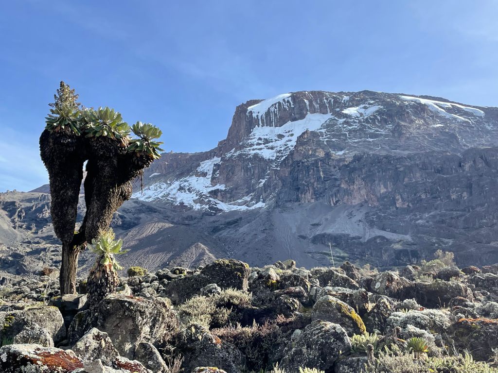 Kilimanjaro’da bir Gümüşhaneli: Hakan Yalçın 4