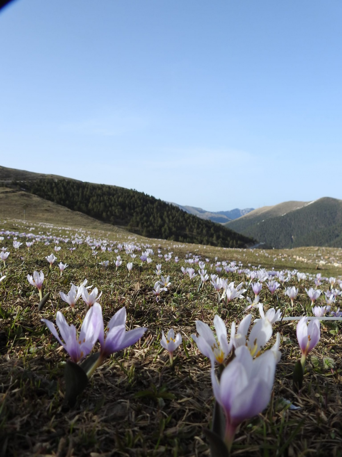 İzci ve Dağcılardan 23 Nisan yürüyüşü 13