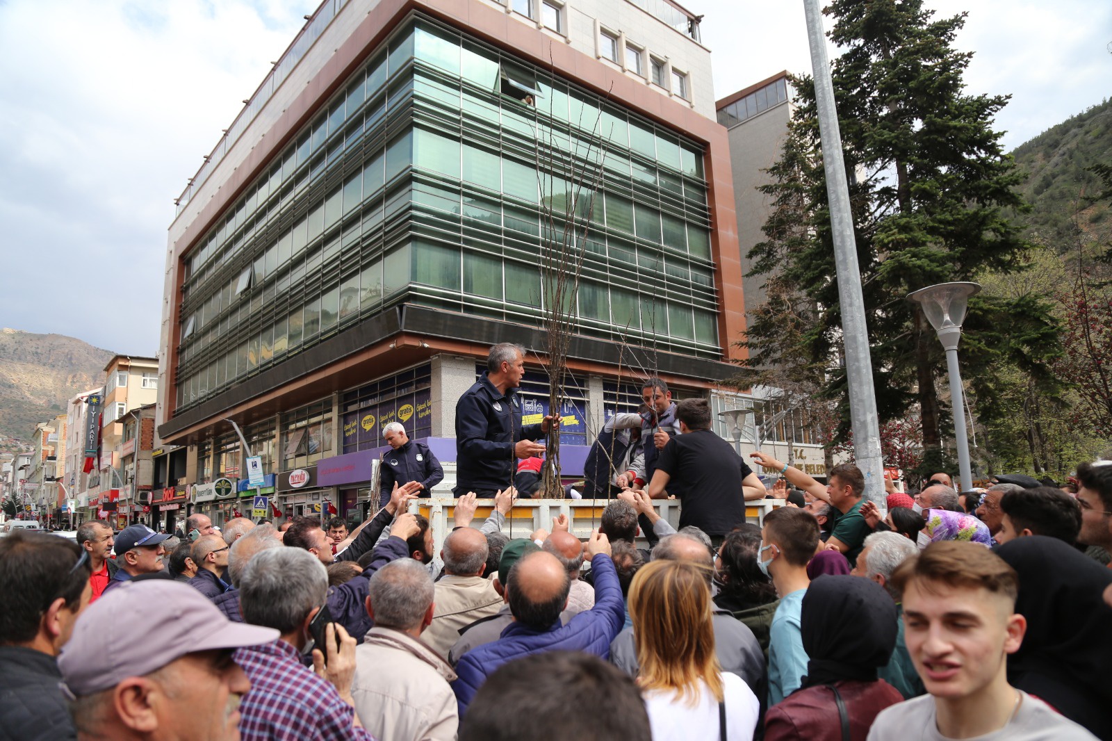 Gümüşhane Belediyesi 5 bin ceviz fidanı dağıttı 3