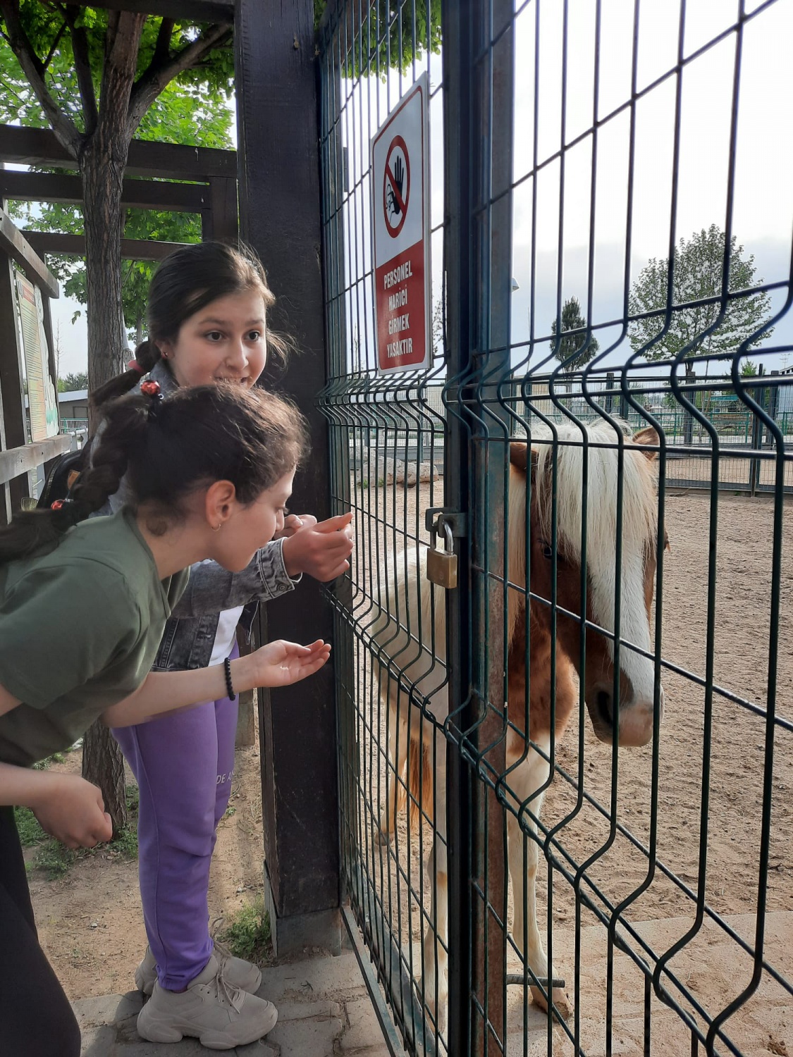 600 kilometre uzakta kep attılar 14
