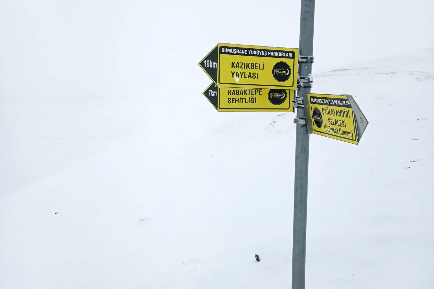 Gümüşhane'nin yüksekleri 19 Mayıs'ta beyaza büründü 1
