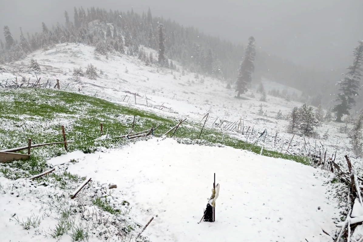 Gümüşhane'nin yüksekleri 19 Mayıs'ta beyaza büründü 7