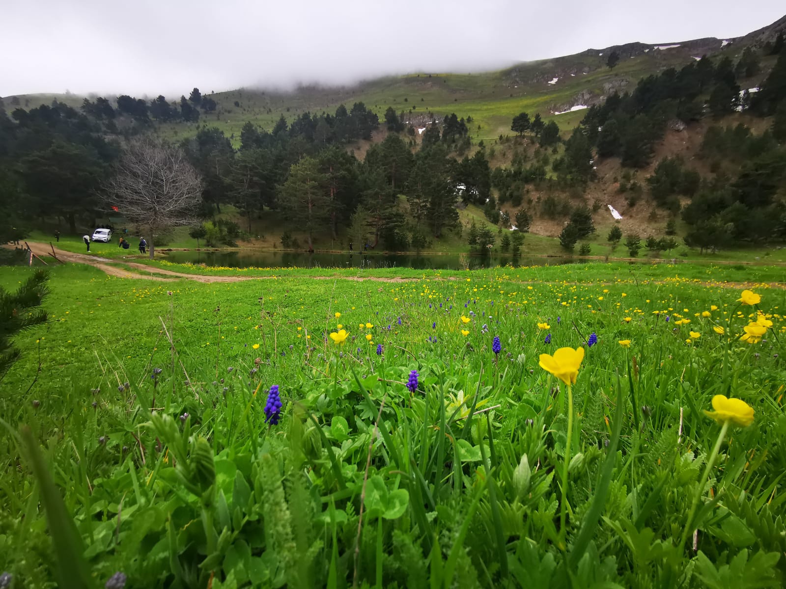 Bağımsızlık ve gençlik yürüyüşü yapıldı 2