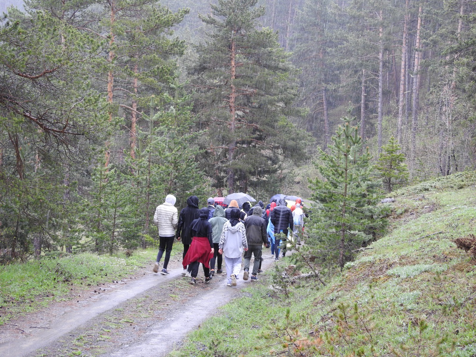 Bağımsızlık ve gençlik yürüyüşü yapıldı 8
