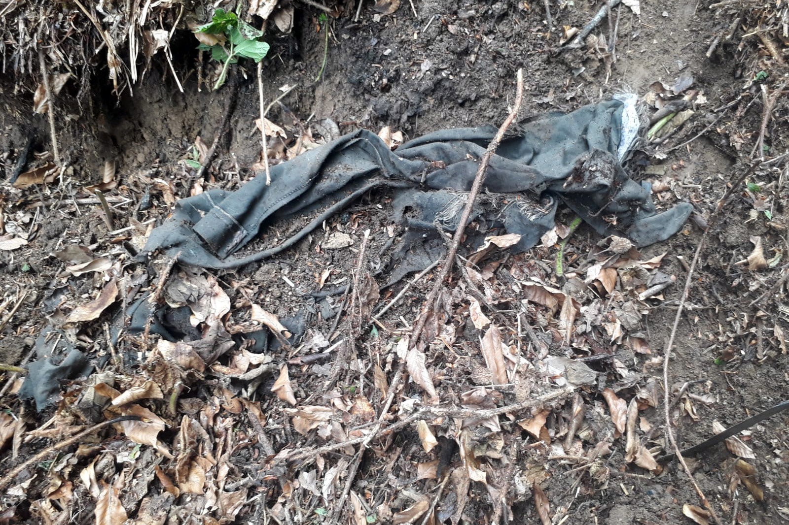 7 yıl sonra bulunan kafatası ve kemikler cinayet şüphesini arttırdı 3