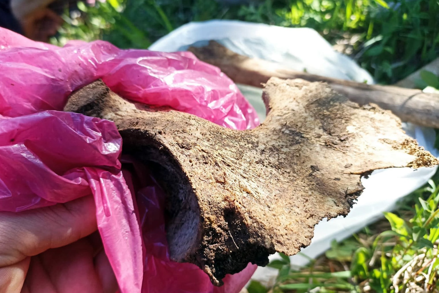 7 yıl sonra bulunan kafatası ve kemikler cinayet şüphesini arttırdı 11