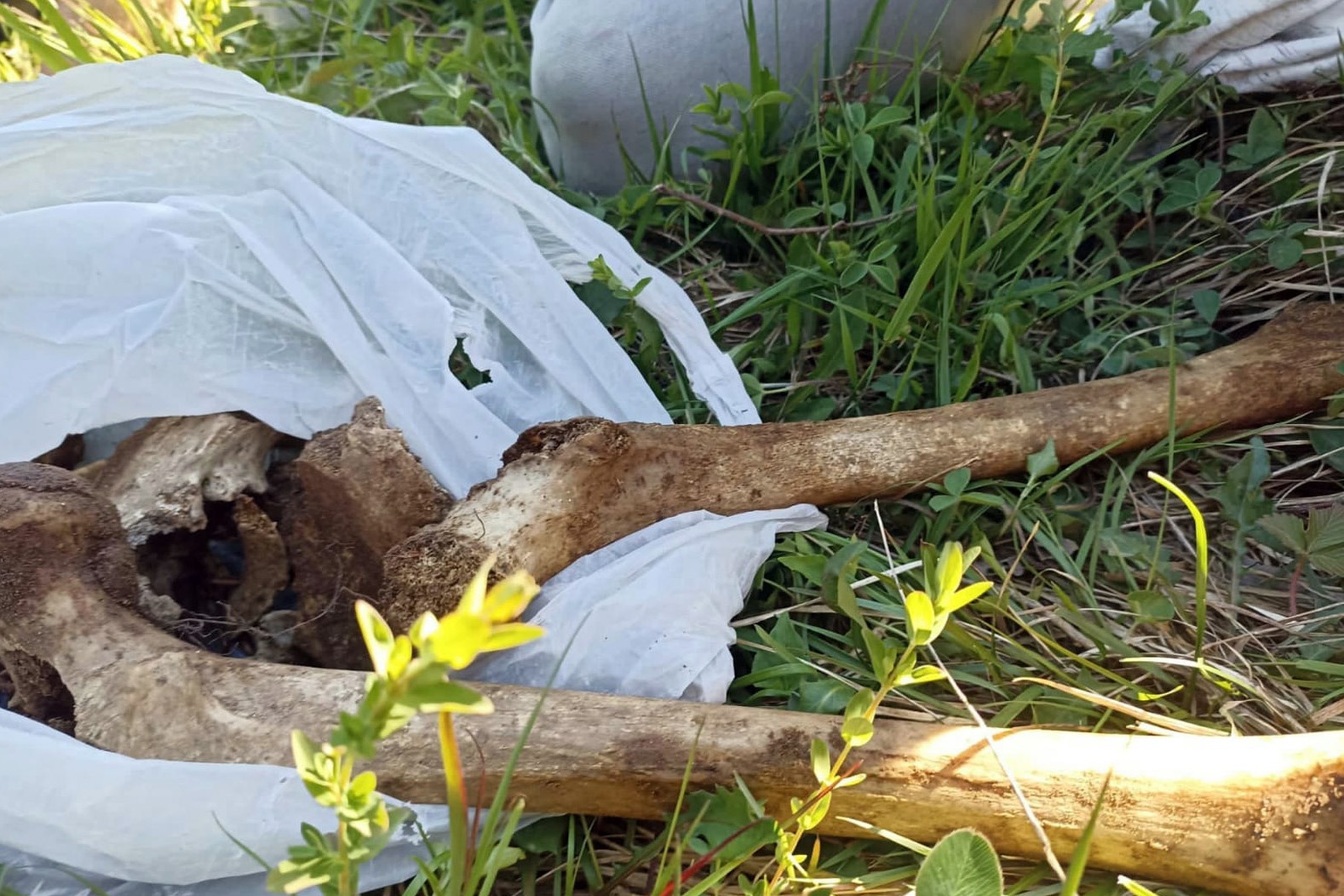 7 yıl sonra bulunan kafatası ve kemikler cinayet şüphesini arttırdı 8