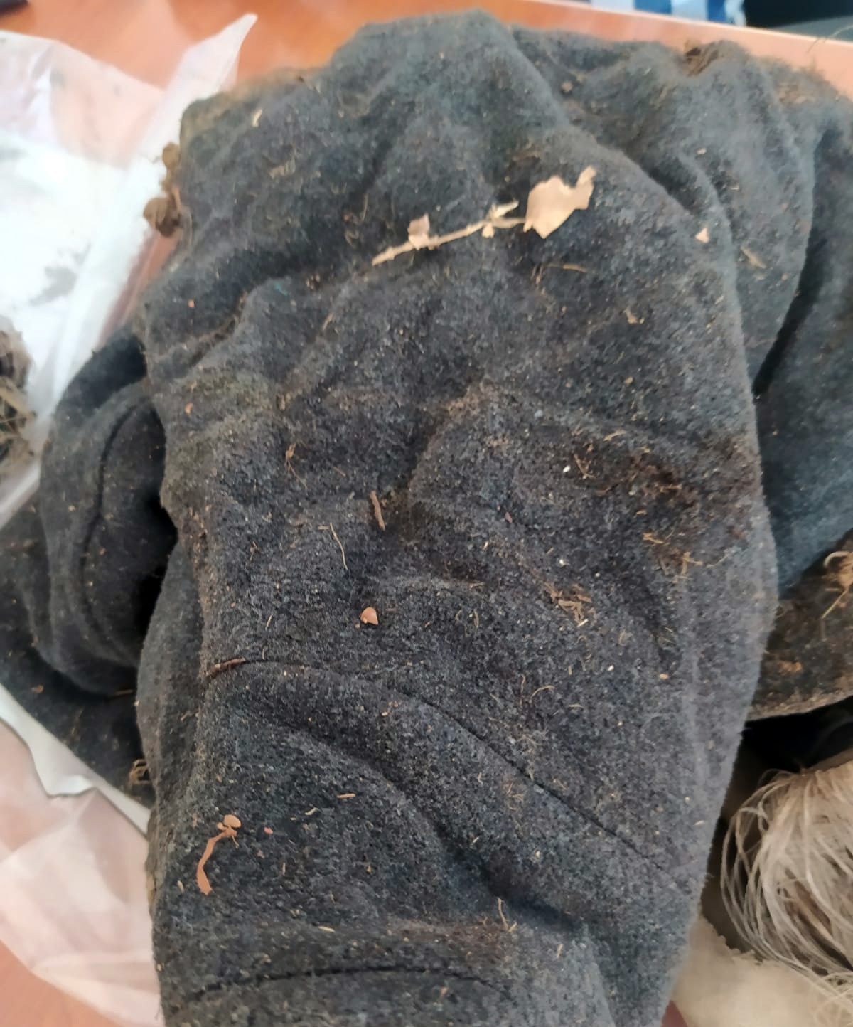 7 yıl sonra bulunan kafatası ve kemikler cinayet şüphesini arttırdı 14