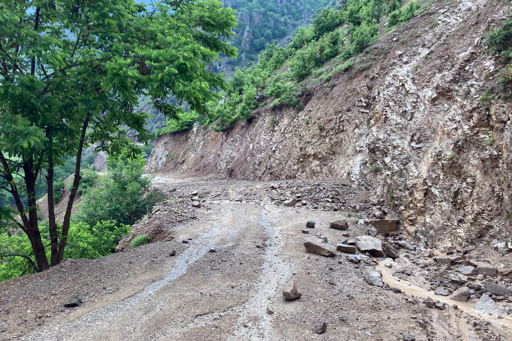 Gümüşhane’de aşırı yağış sele neden oldu 10