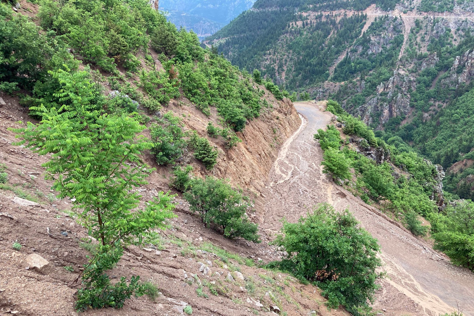 Gümüşhane’de aşırı yağış sele neden oldu 5