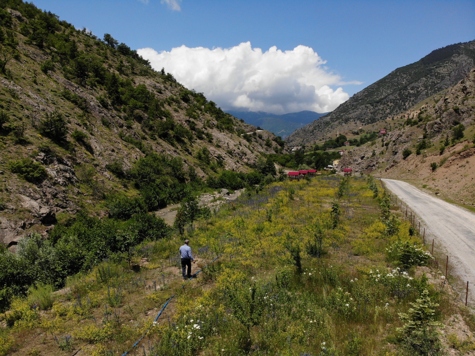 Necmettin Öğretmensiz 5.Babalar Günü 4
