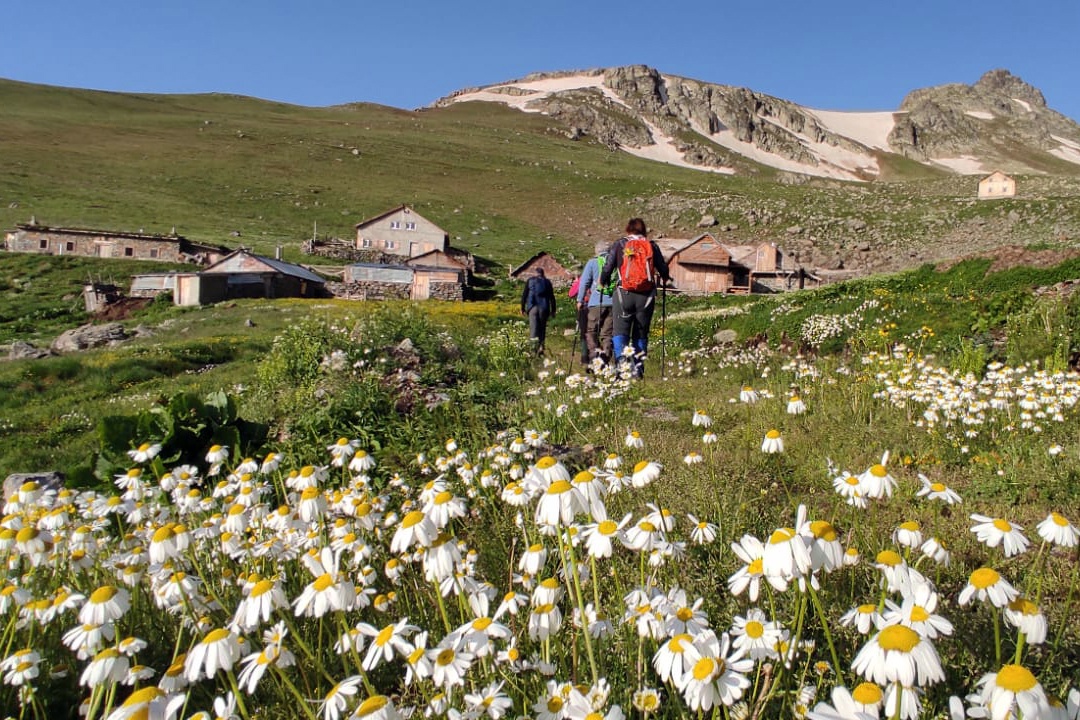 Gümüşhane dağlarına hayran kaldılar 5
