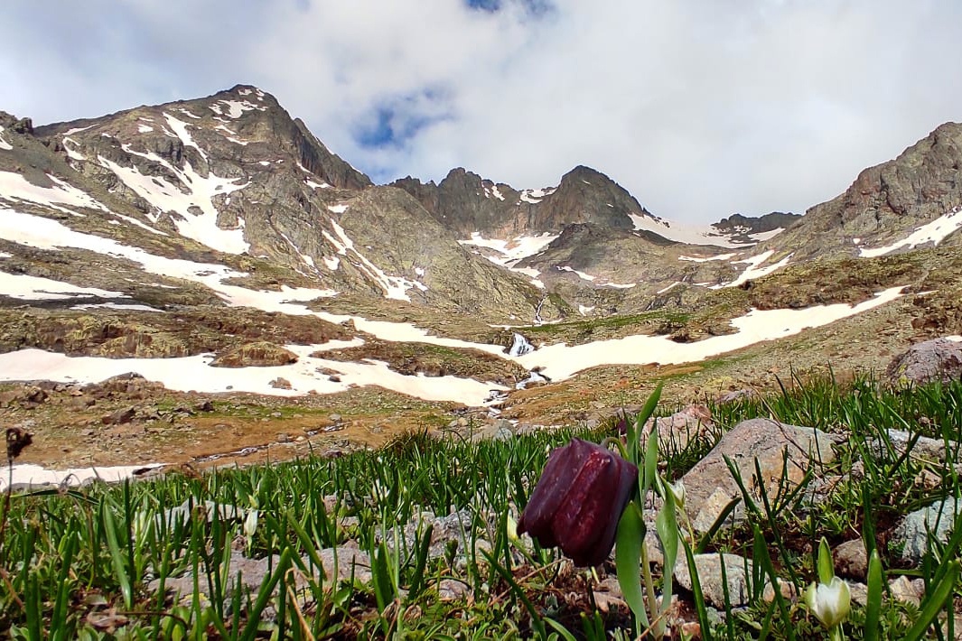 Gümüşhane dağlarına hayran kaldılar 7