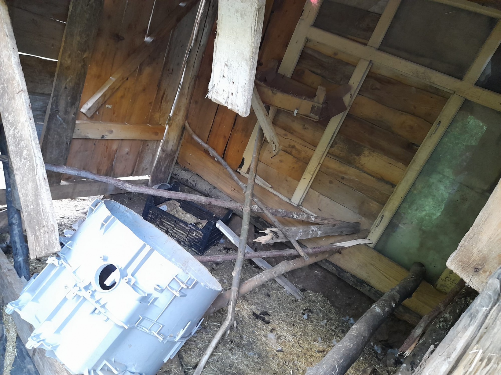 Aç kalan ayılar 2 günde 28 tavuğu telef etti 5