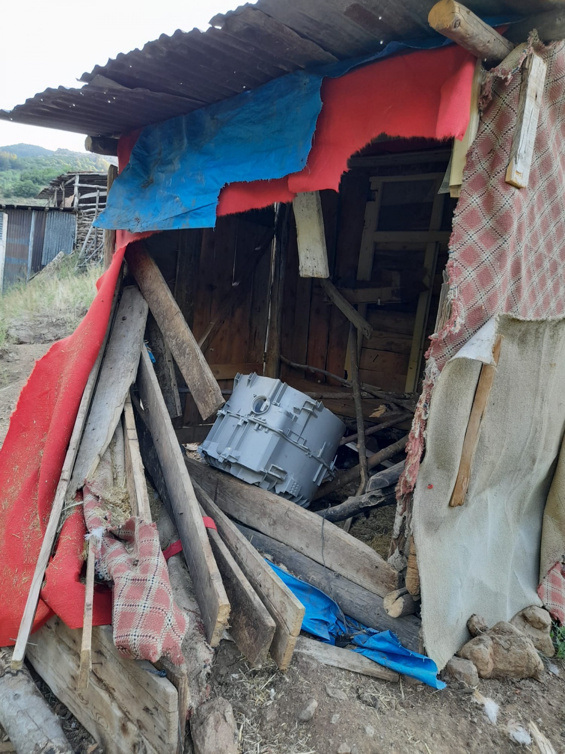 Aç kalan ayılar 2 günde 28 tavuğu telef etti 6