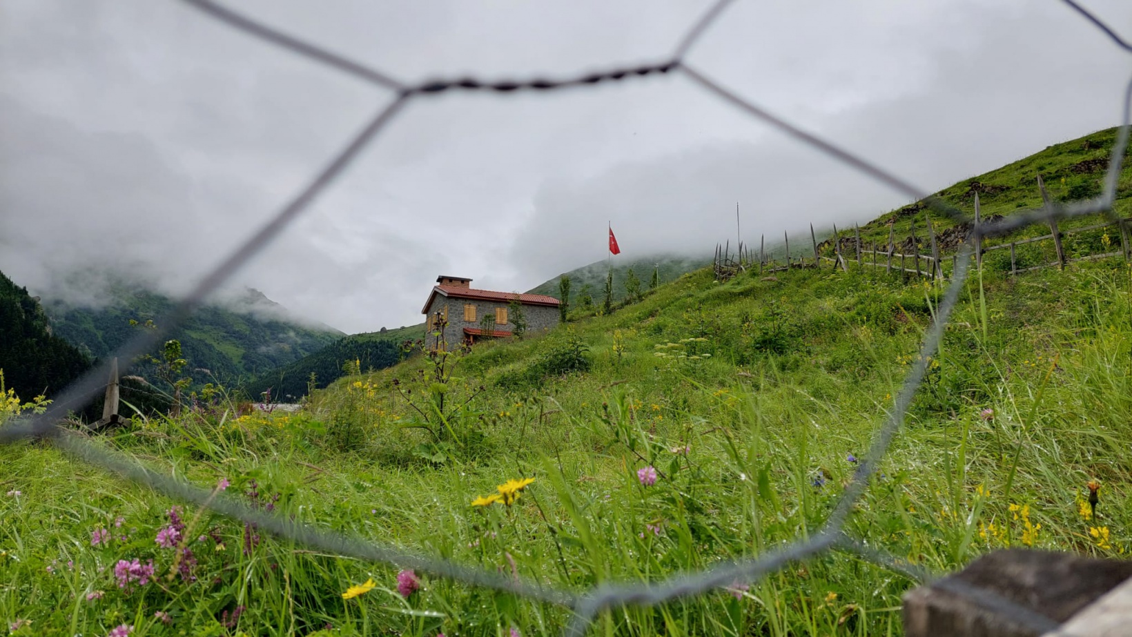 15 Temmuz Demokrasi ve Milli Birlik yürüyüşü yapıldı 1
