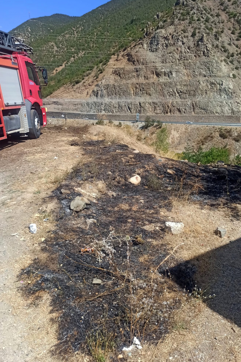 Torul’da yangın 4