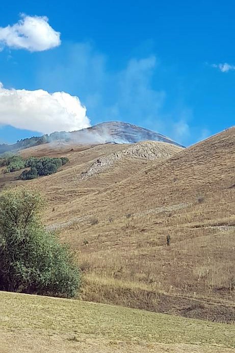 Gümüşhane’de 30 dönüm mera alanı yandı 4