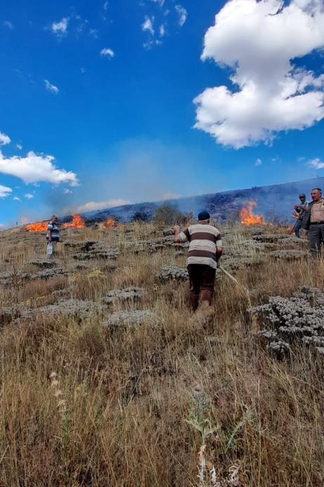 Gümüşhane’de 30 dönüm mera alanı yandı 2