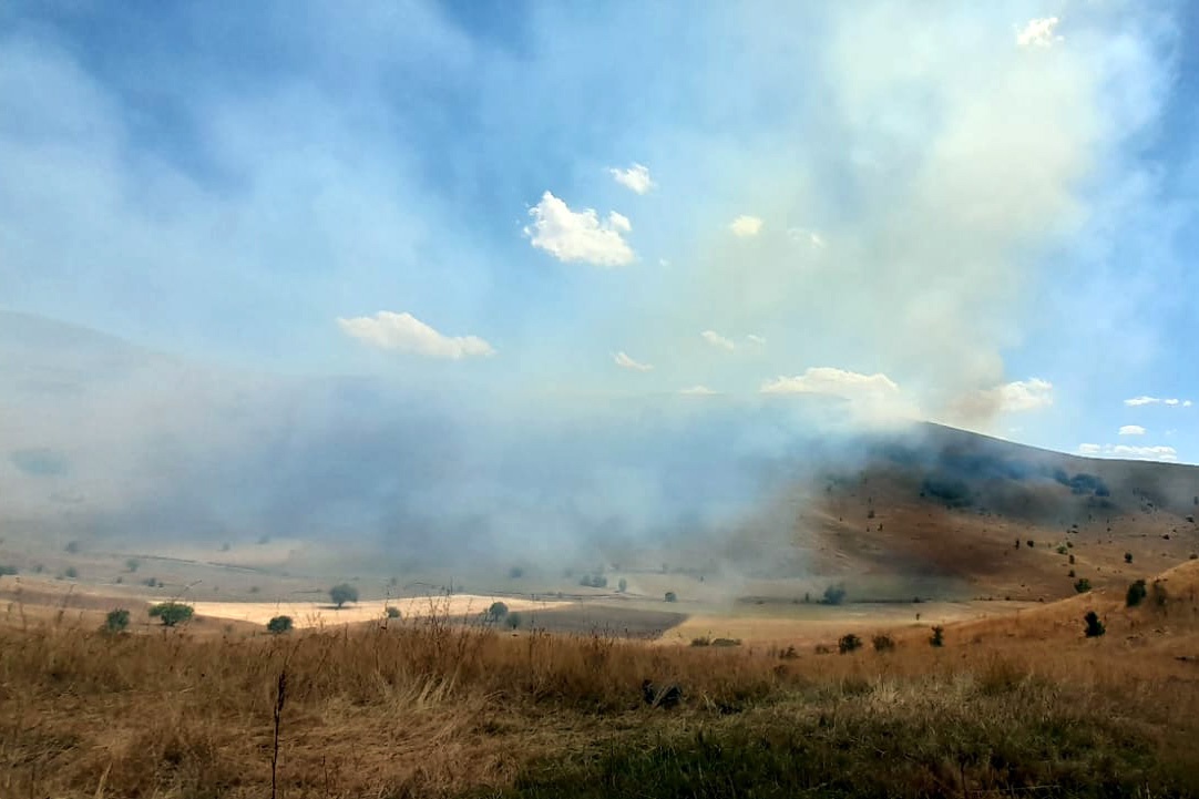 Gümüşhane’de 30 dönüm mera alanı yandı 3