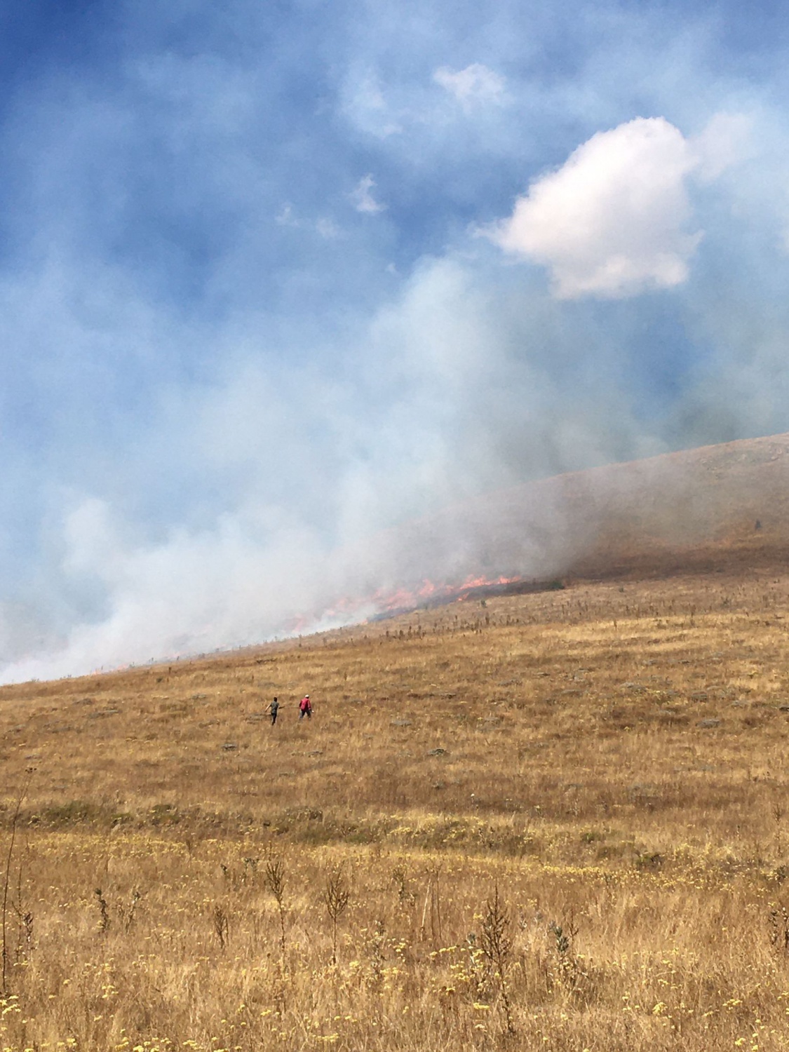 Gümüşhane’de 30 dönüm mera alanı yandı 7