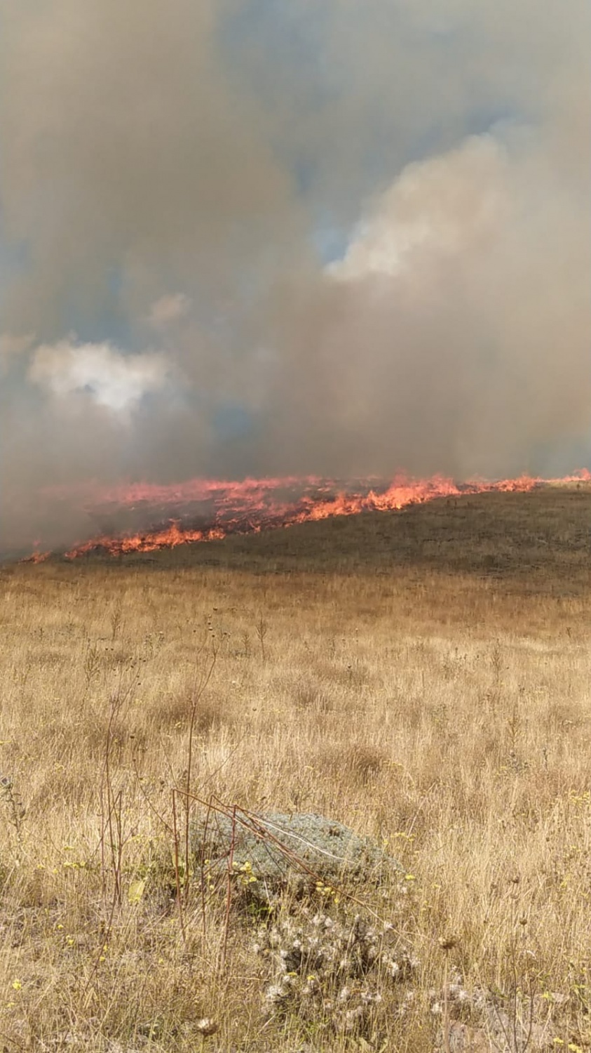 Gümüşhane’de 30 dönüm mera alanı yandı 6