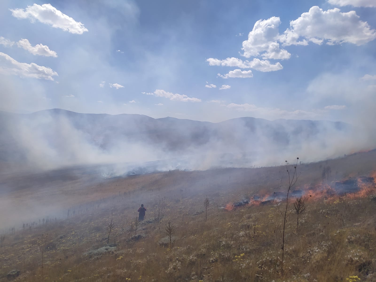 Gümüşhane’de 30 dönüm mera alanı yandı 5