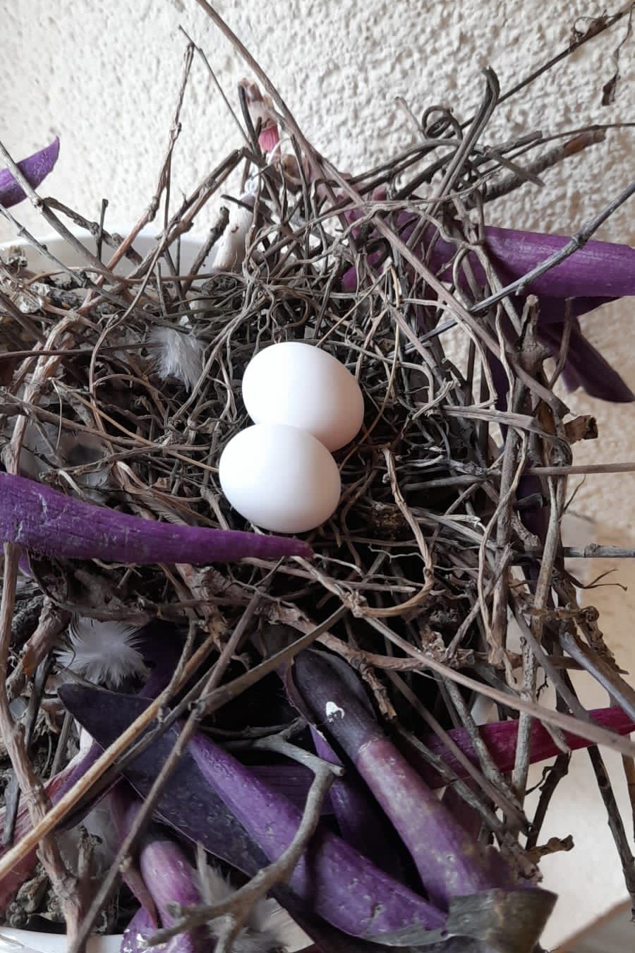 Kumrular 5 yıldır balkondaki kombinin üzerine yuva yapıyor 2