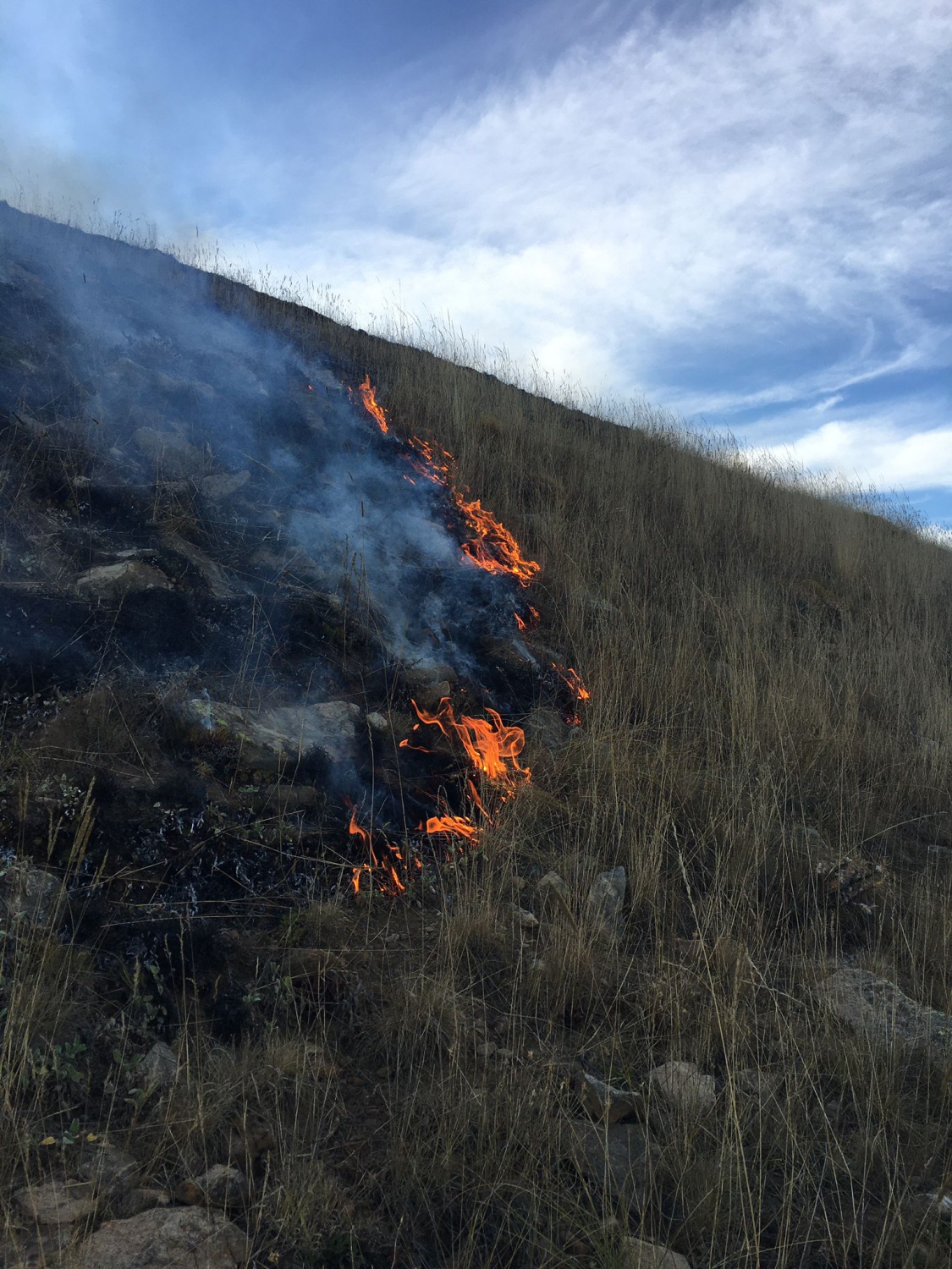 Gümüşhane’de yine örtü yangını 10