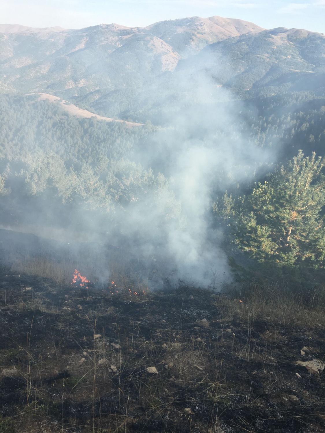Gümüşhane’de yine örtü yangını 3