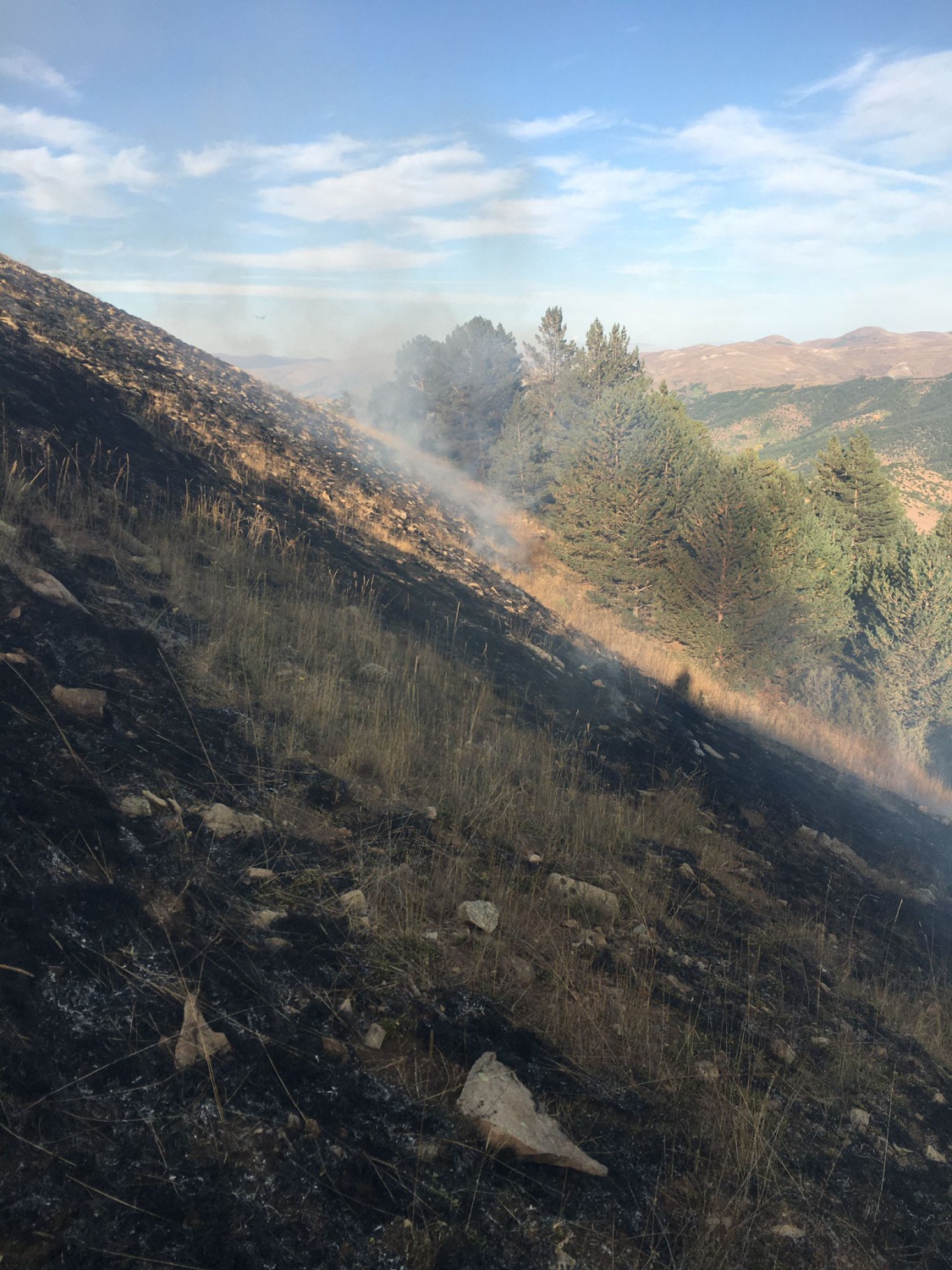 Gümüşhane’de yine örtü yangını 5