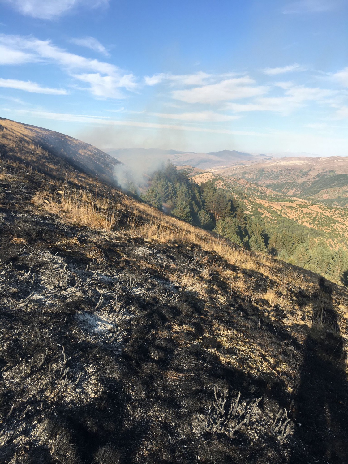 Gümüşhane’de yine örtü yangını 8