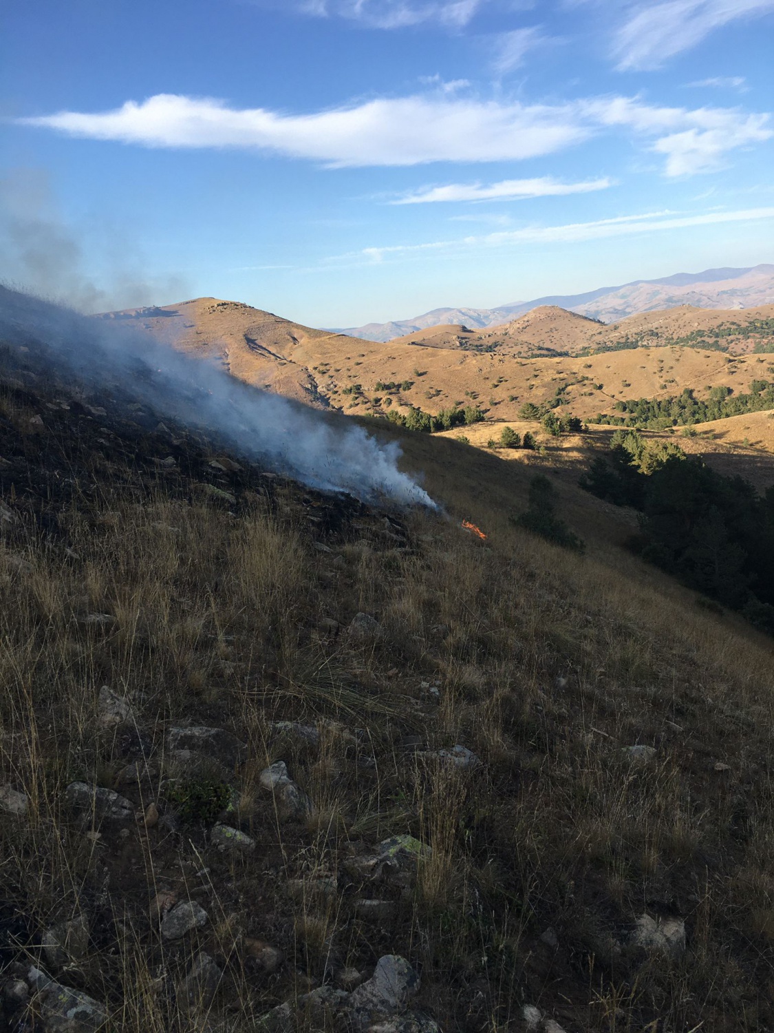 Gümüşhane’de yine örtü yangını 6