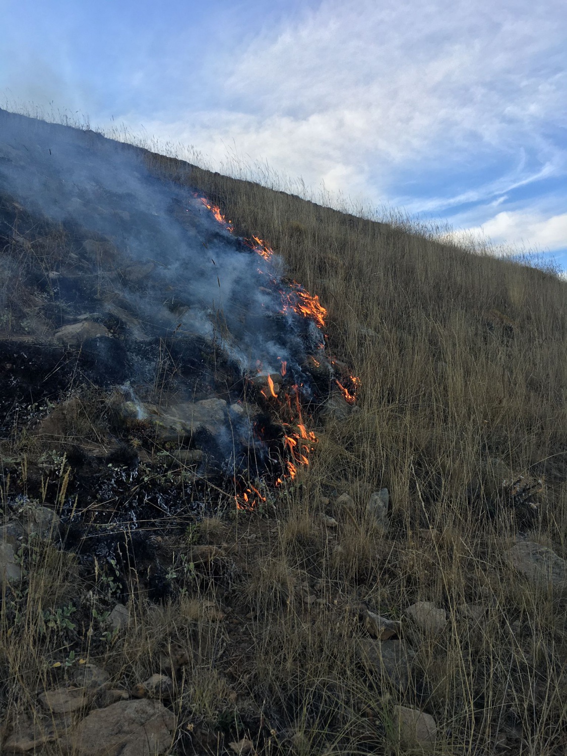 Gümüşhane’de yine örtü yangını 12