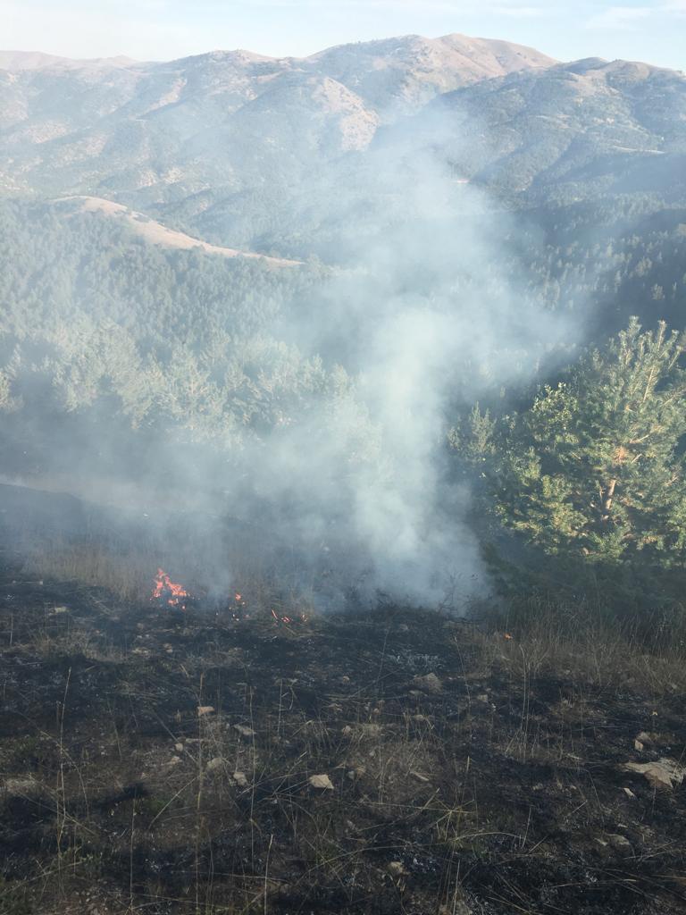 Gümüşhane’de yine örtü yangını 1