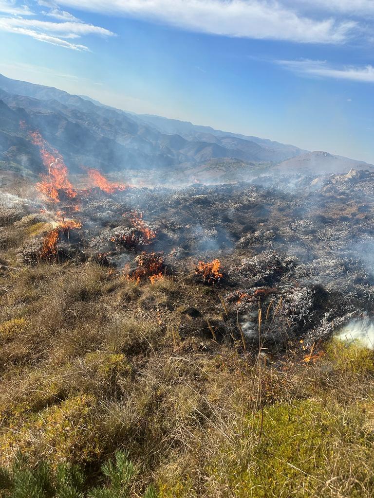 Gümüşhane’de yine örtü yangını 11