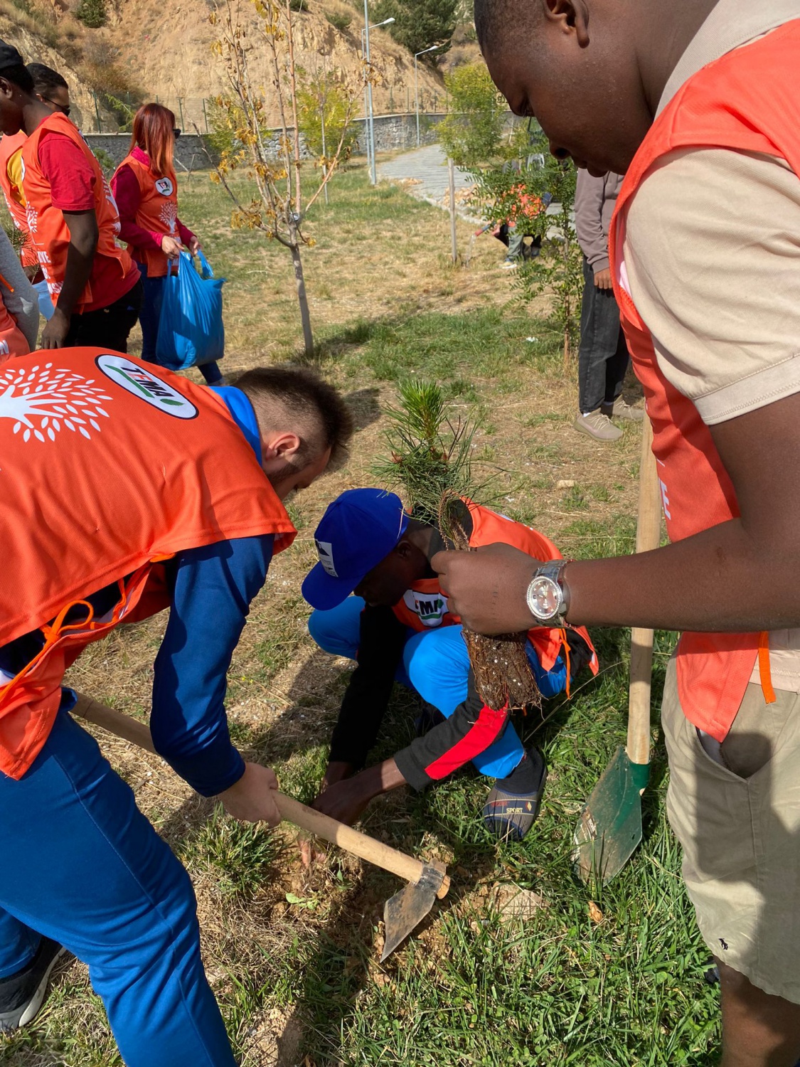 Onlarca fidan toprakla buluştu 5