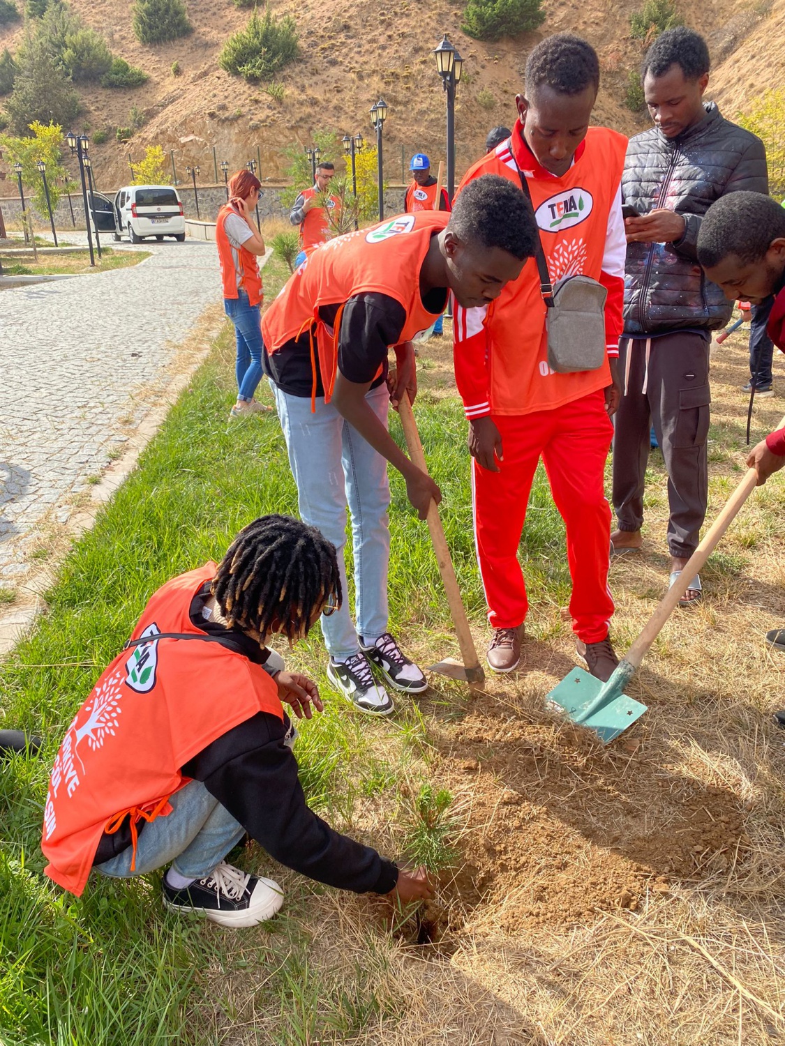 Onlarca fidan toprakla buluştu 9
