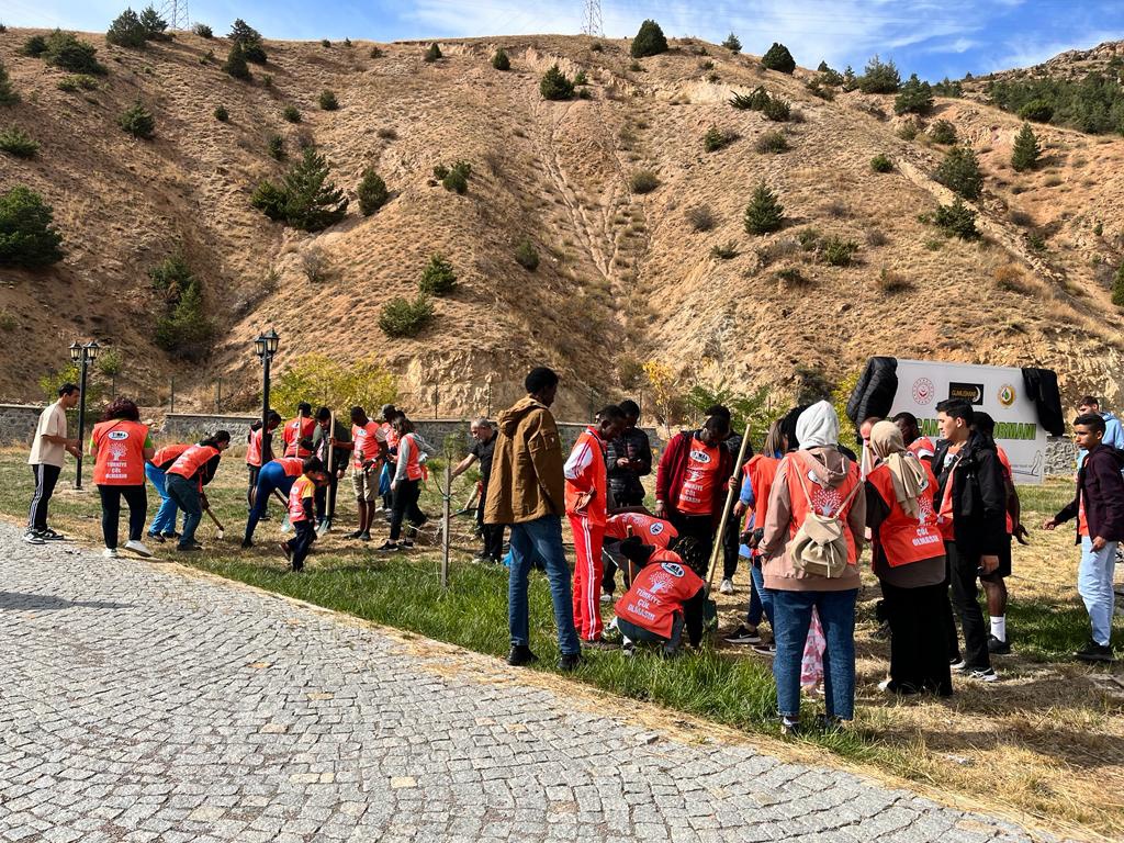 Onlarca fidan toprakla buluştu 2