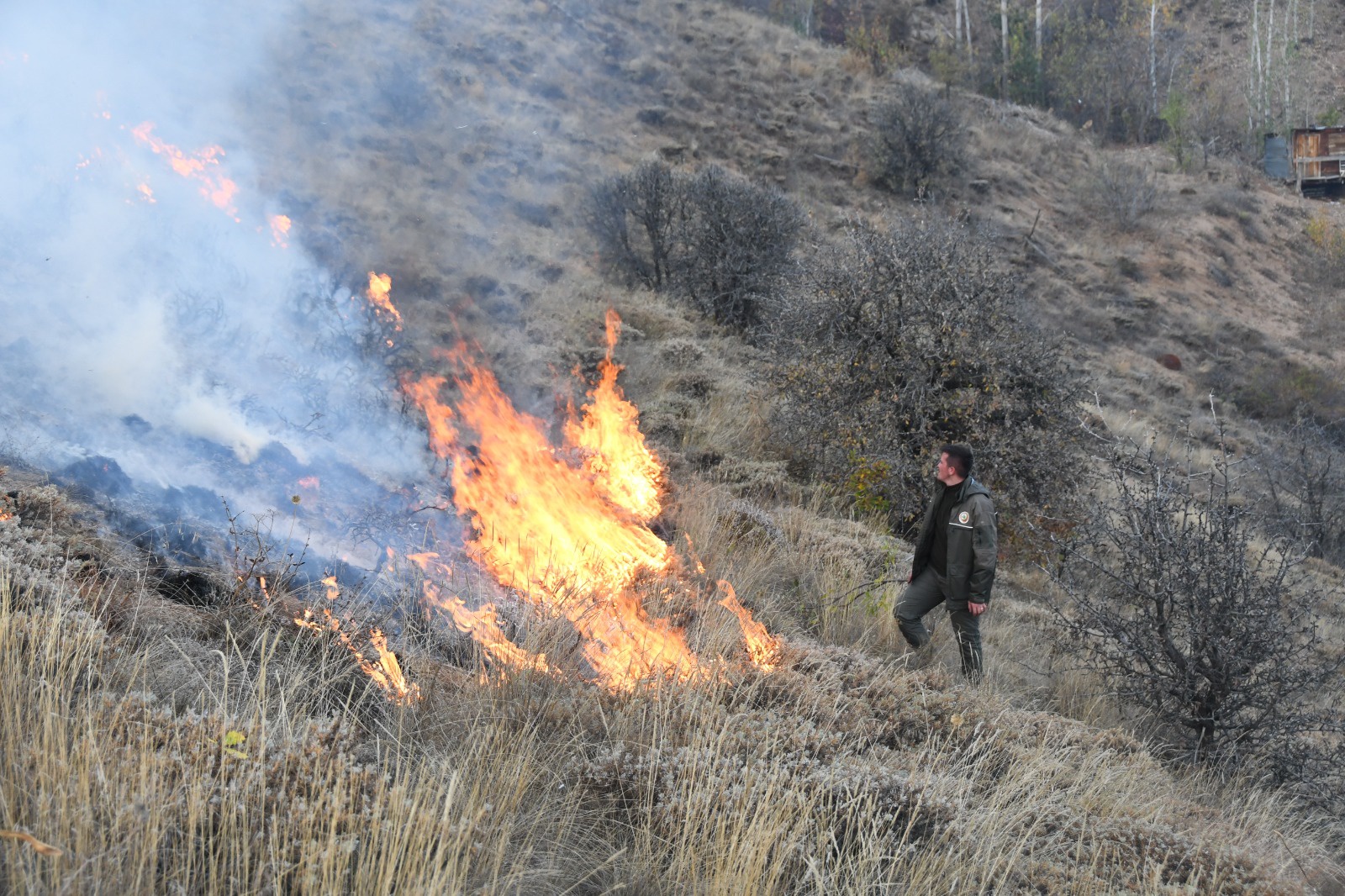 Gümüşhane'deki örtü yangınında 5 hektarlık alan zarar gördü 2