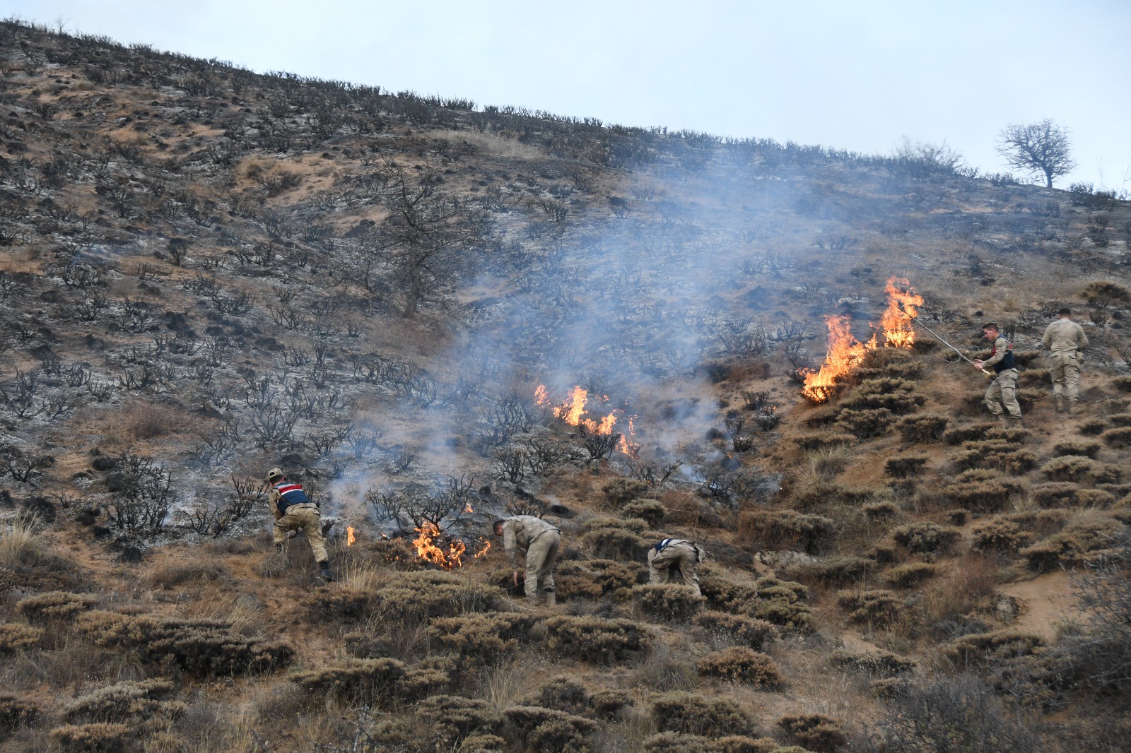 Gümüşhane'deki örtü yangınında 5 hektarlık alan zarar gördü 9